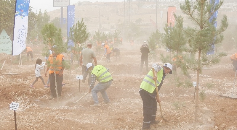 Habeş Kanyonu ile Fırat Nehri arasında 27 milyon fidan toprakla buluşacak