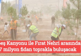Habeş Kanyonu ile Fırat Nehri arasında 27 milyon fidan toprakla buluşacak