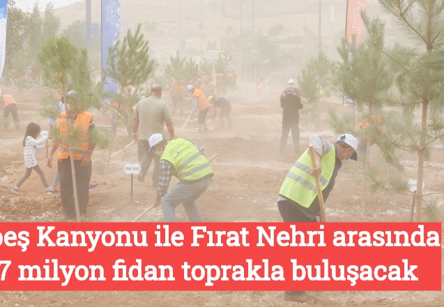 Habeş Kanyonu ile Fırat Nehri arasında 27 milyon fidan toprakla buluşacak