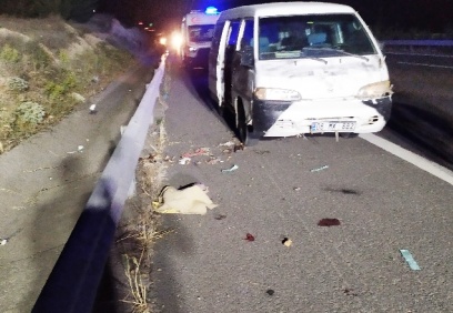 Hamile kadın ile 4 yaşındaki oğlu hem darp edildi hem de bıçaklanarak öldürüldü