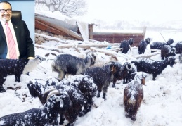 Hasar karşılama oranı birebir düzeyinde  olmalı