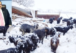 Hasar karşılama oranı birebir düzeyinde  olmalı