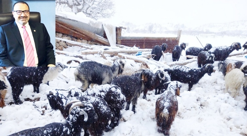 Hasar karşılama oranı birebir düzeyinde  olmalı
