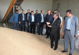 Hasat sezonunun bereketli geçmesi bekleniyor