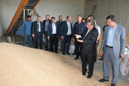 Hasat sezonunun bereketli geçmesi bekleniyor