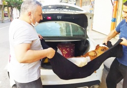 Hasta buzağıyı lüks otomobille kliniğe getirdi