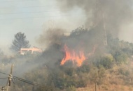 Hatay'daki orman yangını, yerleşim yerlerine sıçradı