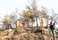 Hatay'daki yangında soğutma çalışmaları sürüyor