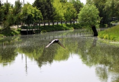 Hava kirliliği de yüzde 20 civarında azaldı