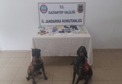 Havadan drone, karadan ise dedektör köpekleriyle uyuşturucu operasyonu 