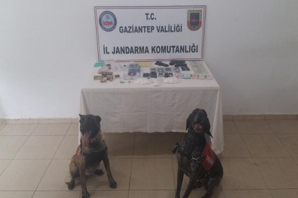 Havadan drone, karadan ise dedektör köpekleriyle uyuşturucu operasyonu 