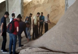 Hayvan besleme her zaman ciddiyetle yapılmalı