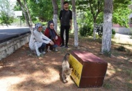“Hayvan hakları konusunda yeni düzenleme TBMM gündeminde”
