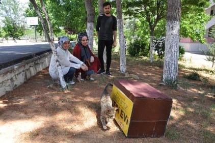 &#8220;Hayvan hakları konusunda yeni düzenleme TBMM gündeminde&#8221;