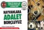 Hayvan Hakları 4.Kurultayı toplanıyor