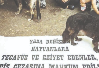 Hayvan hakları savunucuları: Her müjdenin ardı felaket