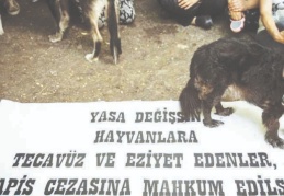 Hayvan hakları savunucuları: Her müjdenin ardı felaket