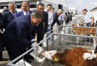 Hayvan haklarını ihlal eden insan kılıklılara 