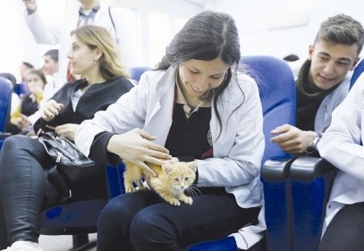 Hayvan sevgisi ve bakımı semineri düzenlendi