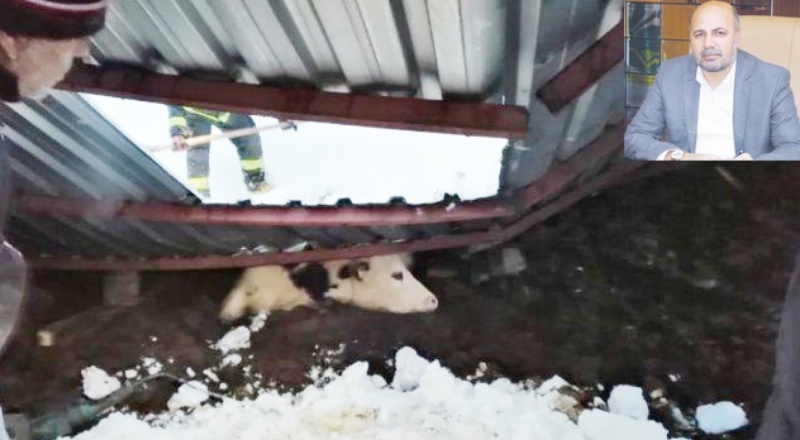 Hayvan üreticileri, afet yardımı istiyor