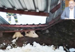 Hayvan üreticileri, afet yardımı istiyor