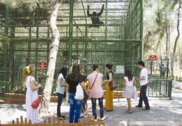 Hayvanat bahçesi gurbetçileri ağırlıyor