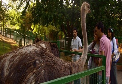 Hayvanat bahçesi için anket yaptırıldı