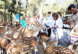 Hayvanat Bahçesi, kadınlar ve çocuklara ücretsiz olacak 