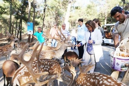 Hayvanat Bahçesi, kadınlar ve çocuklara ücretsiz olacak 