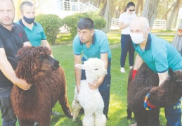 Hayvanat Bahçesi ve Doğal Yaşam Parkı, yeni üyelerini ağırlamaya başladı