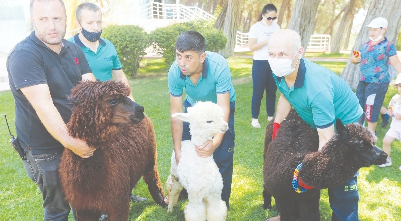 Hayvanat Bahçesi ve Doğal Yaşam Parkı, yeni üyelerini ağırlamaya başladı