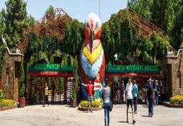 Hayvanat Bahçesi'ni 3 milyon 110 bin kişi gezdi