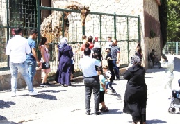 Hayvanat Bahçesi’ni 2 günde 22 bin kişi gezdi