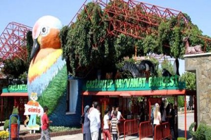 Hayvanat Bahçesi&#039;ni3 milyon 110 bin kişi gezdi