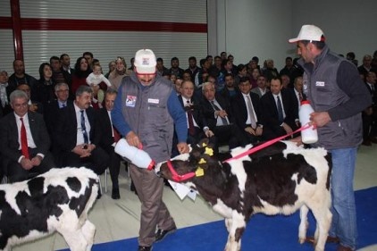 Hayvancılığı eski ihtişamlı günlerine kavuşturacağız