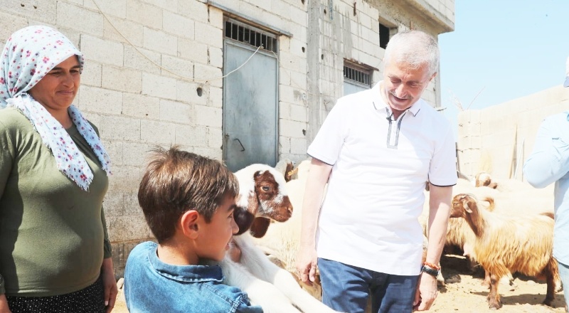 Şahinbey’de, 3 yılda hayvan sayısı yüzde 50 artmış durumda