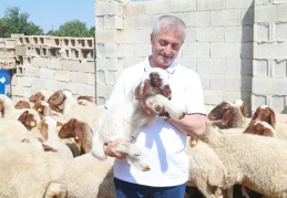 Şahinbey’de, 3 yılda hayvan sayısı yüzde 50 artmış durumda