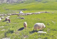 Hayvancılık yapmak isteyenler eğitildi