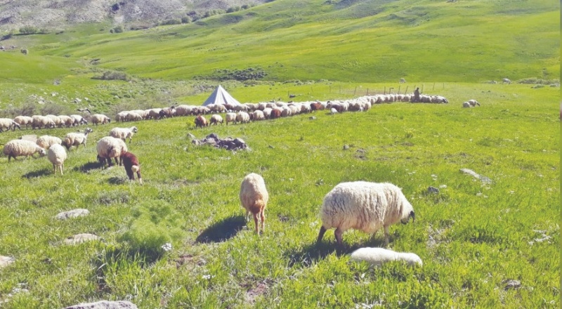 Hayvancılık yapmak isteyenler eğitildi