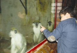 Hayvanlar alemini tanıma fırsatı