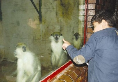 Hayvanlar alemini tanıma fırsatı