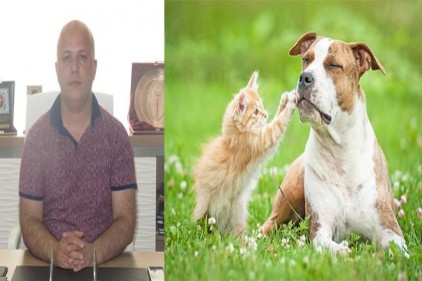 Hayvanlar düşmanımız değil, dostumuzdur