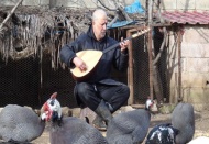 Hayvanlara bağlama konseri