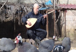 Hayvanlara bağlama konseri