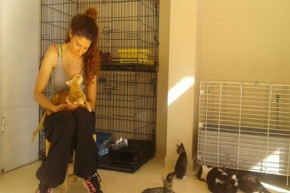 &#8220;Hayvanlara karşı işlenen suçta ceza değil, eğitim verilmeli&#8221;
