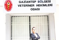 Hayvanlara mikro çip takılması zorunlu olacak