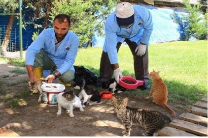 Hayvanları da yılda bir kez hatırlıyoruz