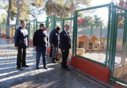 Hayvanları korumak için yerel müfettişler geliyor