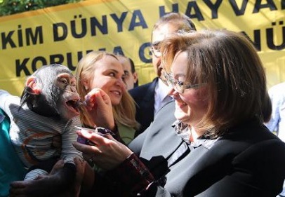 Hayvanları ve doğayı sevmeniz çok önemli