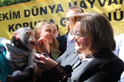 Hayvanları ve doğayı sevmeniz çok önemli